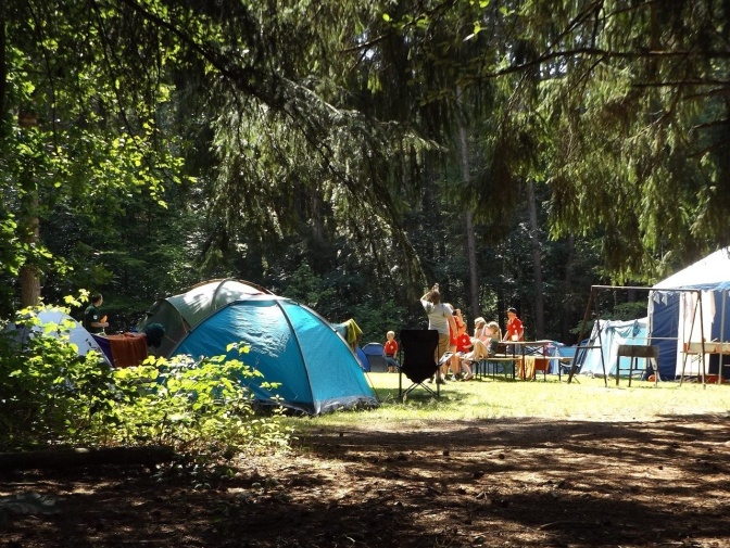 Mehrere Zelte stehen auf einem Campingplatz im Wald beieinander. Menschen laufen zwischen den Zelten hin und her.