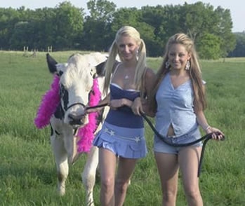 Paris Hilton und Nicole Richie stehen in kurzen Shorts nebeneinander, Paris Hilton führt eine Kuh mit einer pinkfarbenen Federboa an einer Leine.