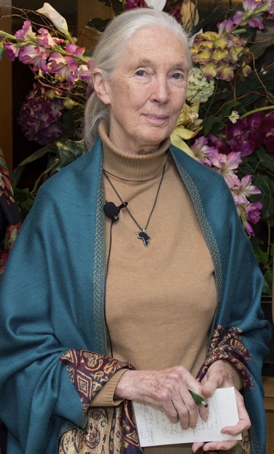 Jane Goodall hat lange, graue, zum Zopf gebundene Haare. Sie hält einen Notizblock und einen Stift in der Hand und trägt ein Anstecken-Mikro.