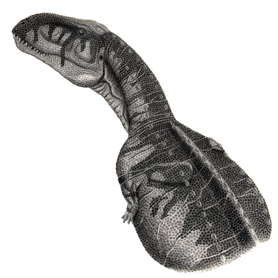 Ein Abelisaurus