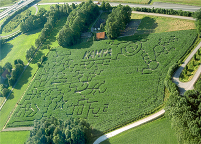 Ein Mais-Labyrinth