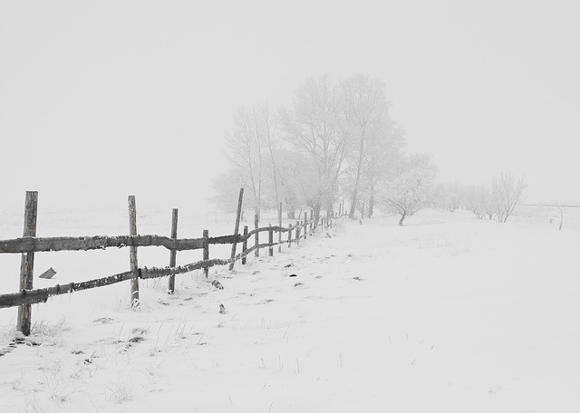 Eine Landschaft im Schnee