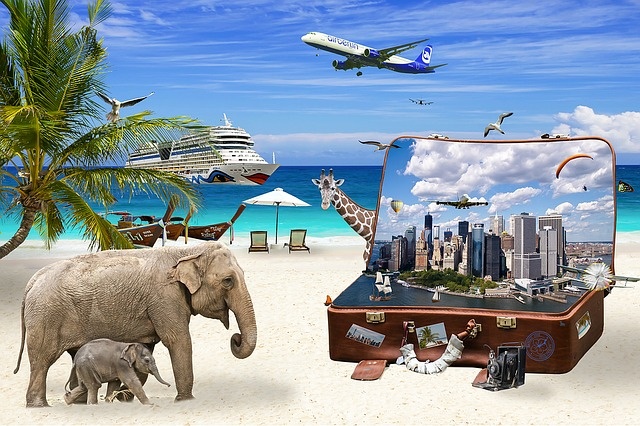Ein Koffer, Elefanten, ein Schiff, ein Flugzeug und Sandstrand
