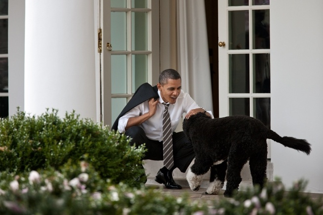 Barack Obama und sein Hund Bo