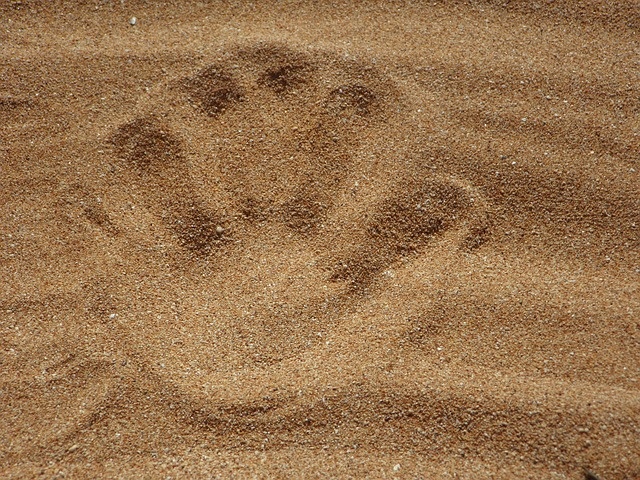 Ein Hand-Abdruck im Sand