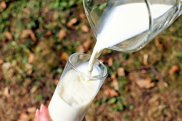 Milch wird aus einer Kanne in ein Glas gegossen