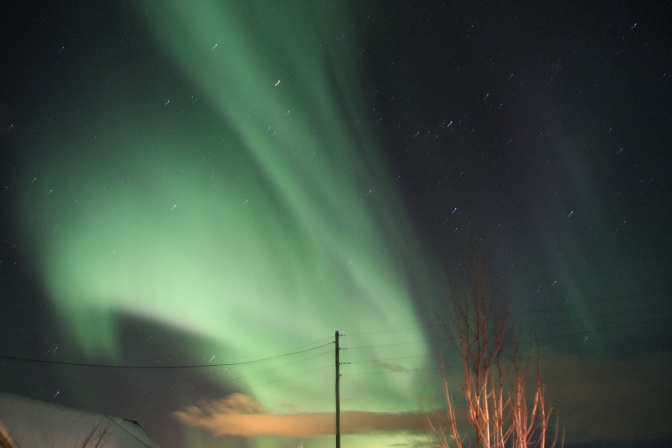 Polar-Lichter am Himmel von Island, im Vordergrund sieht man Stromleitungen