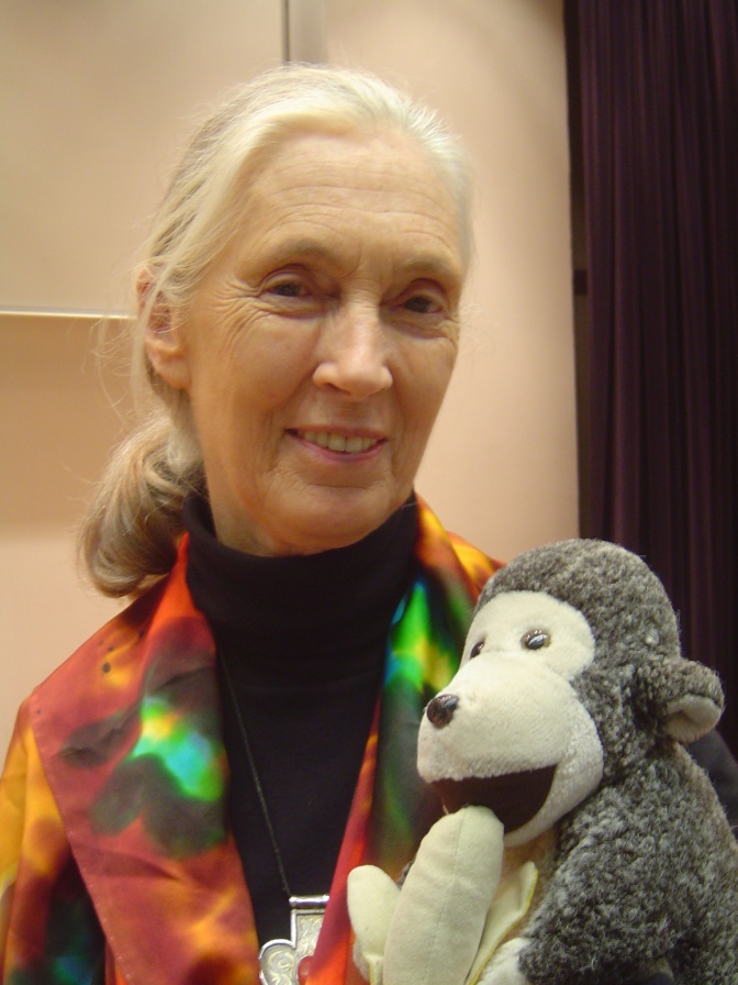 Jane Goodall mit grauen Haaren und einem Zopf. Sie hat einen Schimpansen aus Plüsch dabei.
