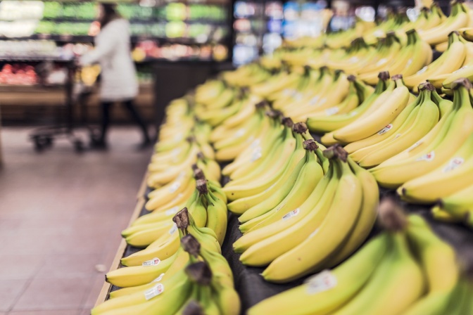 Bananen in einem Supermarkt, sie sind in aufsteigenden Reihen nebeneinander sortiert.