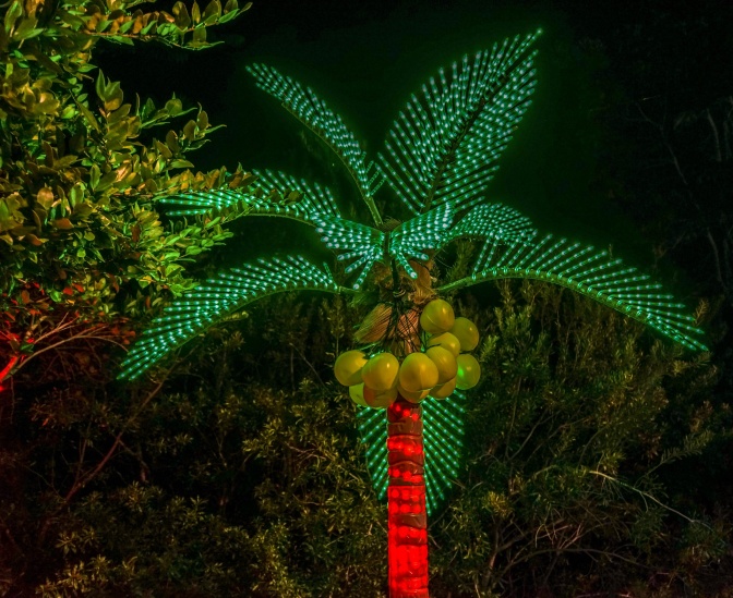 Eine Palme mit Leuchtdekoration in grün und rot.