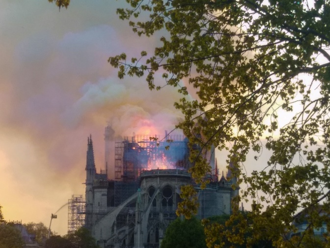 Außenaufnahme der Kirche Notre Dame. Hohe Flammen schlagen aus dem Dach und verfärben den Himmel. Im Vordergrund des Bildes sieht man das Geäst eines Baumes.
