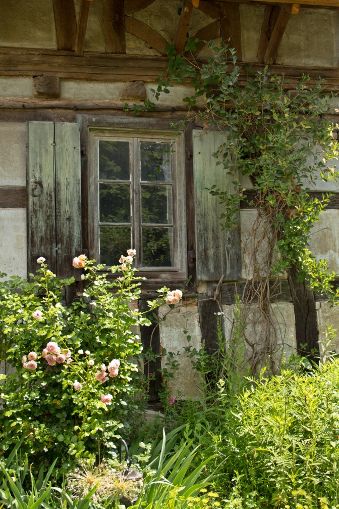 Ein Garten mit verschiedenen Blumen. Im Hintergrund sieht man ein altes Fachwerkhaus und ein Fenster.