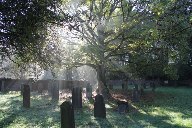 Ein Friedhof mit mehreren Reihen Grabsteinen. Die Sonne scheint durch Bäume.