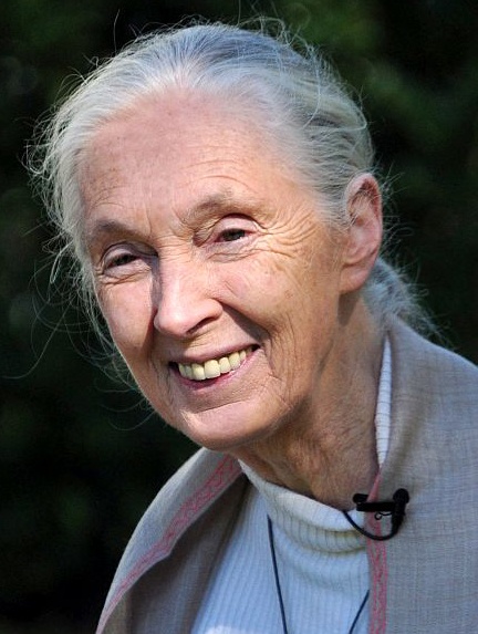 Jane Goodall mit zum Zopf gebundenen weißen Haaren. Sie lächelt in die Kamera.