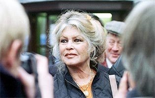 Brigitte Bardot mit grauen, hochgesteckten Haaren, umringt von Journalisten und Journalistinnen