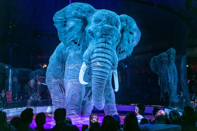 Ein bläuliches, großes Hologramm eines Elefanten im Zirkuszelt