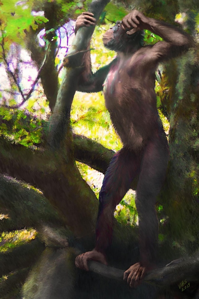 Ein großer Menschenaffe steht auf 2 Beinen auf dem Stamm eines Baumes. Mit einer Hand hält er sich an einem Ast fest, die andere erhebt er in die Luft.
