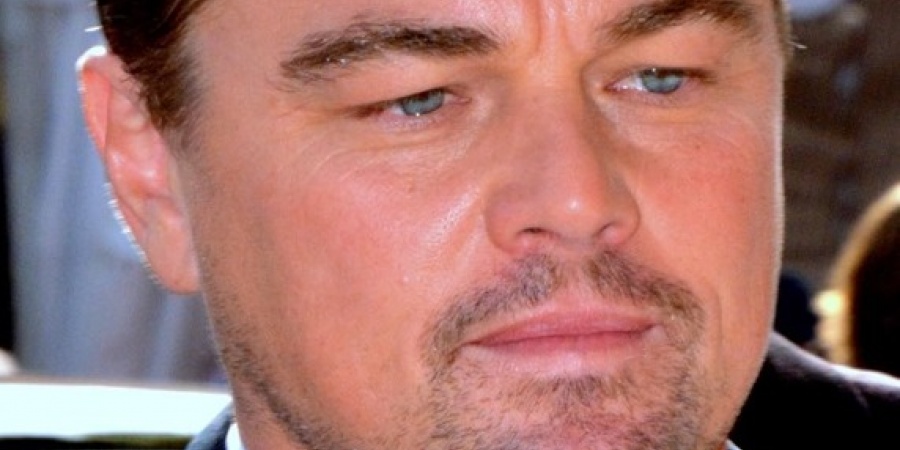 Leonardo Dicaprio Rettet Einen Mann Vor Dem Ertrinken