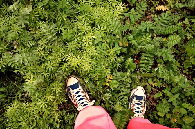 Die Füße einer Person, die Jogginghose und Chucks trägt. Sie steht auf mit grünen Pflanzen bewachsenen Waldboden.