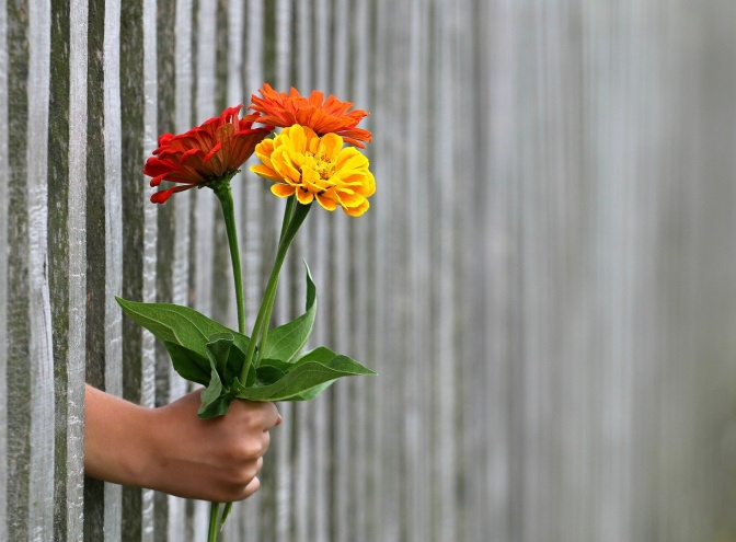 Eine Hand mit 3 Blumen wird durch einen Gitterzaun gestreckt.