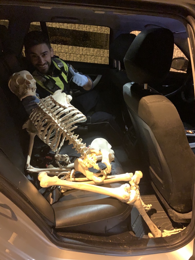 Ein Skelett sitzt auf der Rückbank eines Autos,  daneben sitzt ein Polizist.