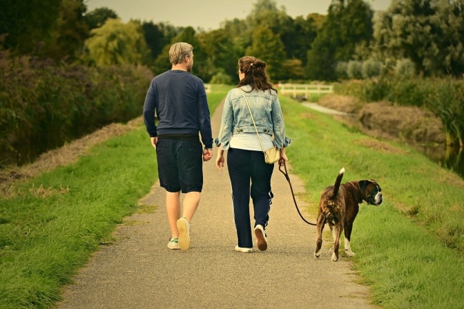 En Paar hält Händchen und geht mit einem mittelgroßen, kurzhaarigen Hund spazieren.