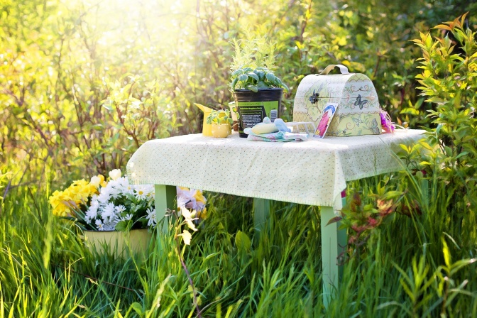 Ein Tisch auf einer Wiese, darauf Blumen in Vasen und eine Picknickbox.