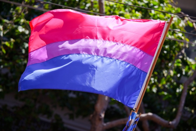 Eine Flagge mit 3 Querstreifen in pink, lila und blau