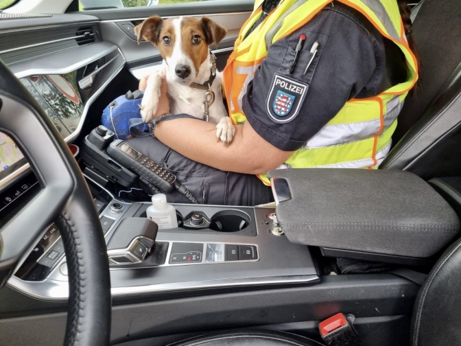 Ein Polizist in Uniform und Warnweste sitzt in einem Auto und hält einen kleinen, gefleckten, kurzhaarigen Hund auf dem Schoß