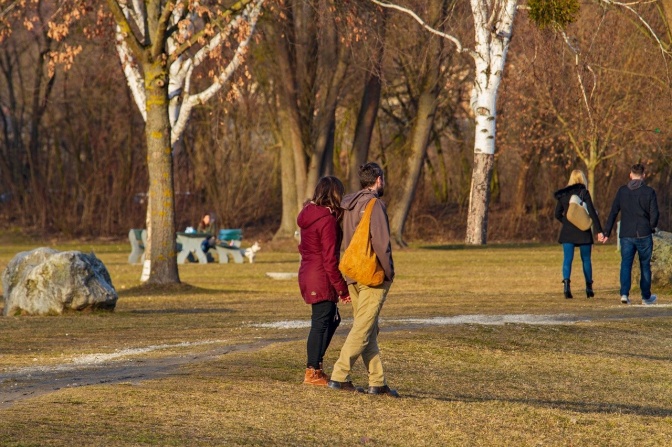 Zwei Paare spazieren händchenhaltend durch einen herbstlichen Park