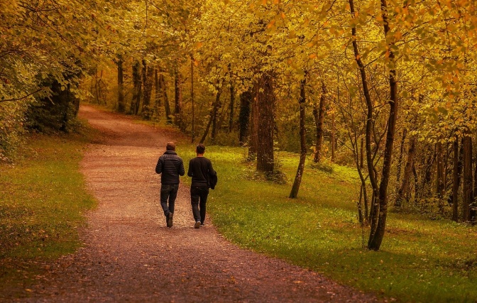 2 Männer laufen nebeneinander durch den herbstlichen Wald