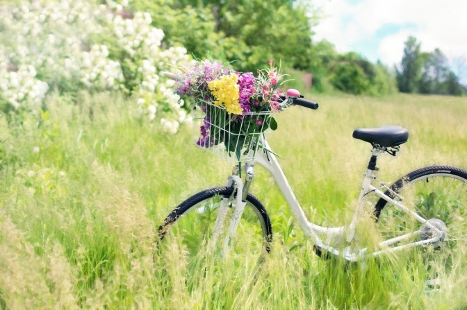 Ein Fahrrad mit Blumen im Fahrradkorb steht auf einer wild wuchernden Wiese.