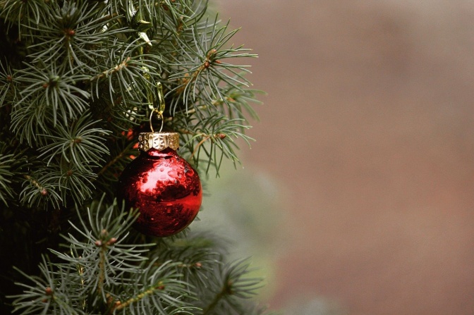Eine einzelne rote Weihnachtskugel an einem Weihnachtsbaum