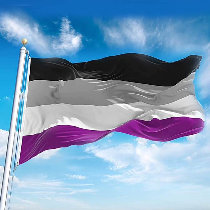 Eine Flagge weht im Wind. Sie hat 4 Querstreifen in schwarz, grau, weiß und lila.