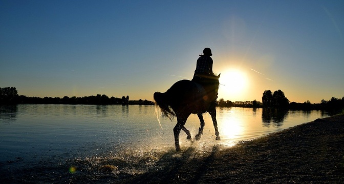 Eine Person auf einem Pferd reitet am Meer entlang. Das Foto ist im Gegenlicht fotografiert.