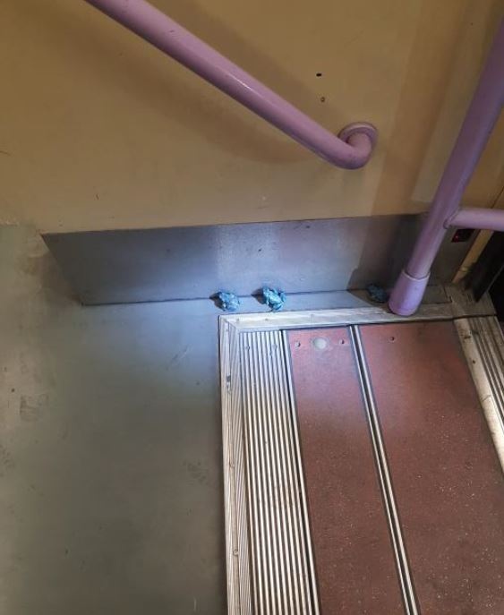 2 kleine blaue Frösche auf dem Boden der Bahnlinie 18