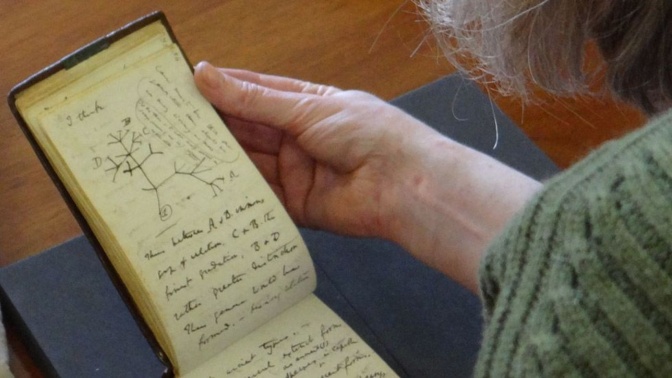 Eine weibliche Hand blättert eines der beiden alten Notizbücher auf. Es ist im Hochformat handschriftlich beschrieben.