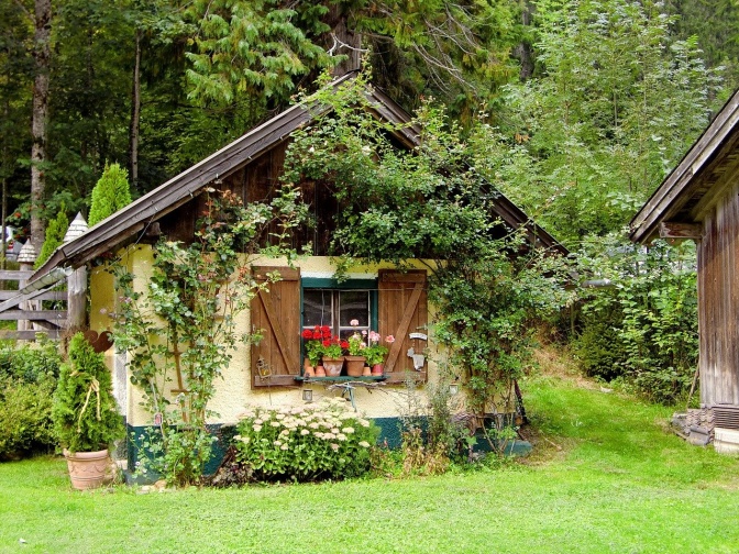 Ein Gartenhaus, in Teilen von Efeu überwachsen.