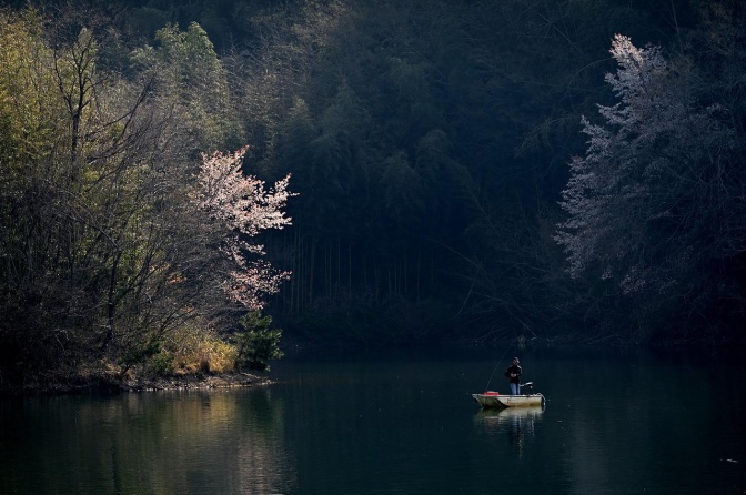 Eine Person steht in einem Boot auf einem von Bäumen umstandenen See und angelt.