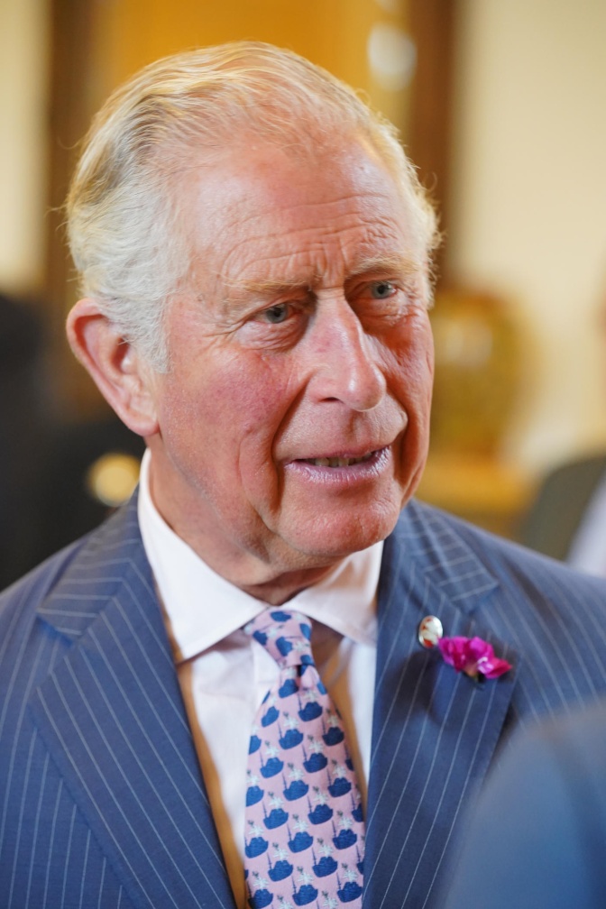 König Charles mit grauen Haaren, in Anzug und Krawatte mit einer kleinen Blüte am Revers.