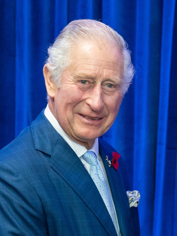 König Charles mit weißen, über die Glatze frisierten Haaren in einem blauen Anzug vor einem blauen Vorhang