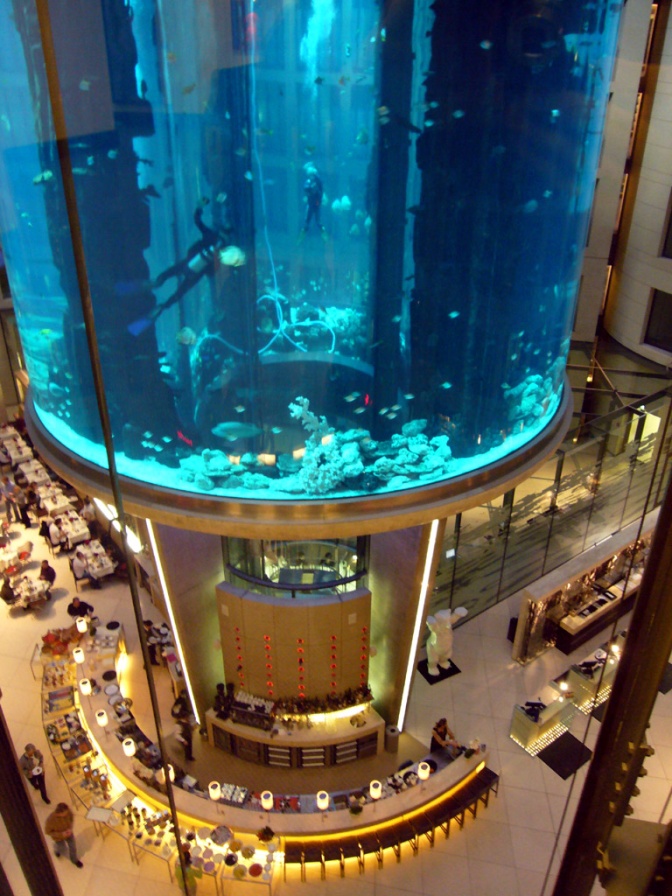Ein riesiges zylinderförmiges Aquarium. Ein Taucher schwimmt im Aquarium.