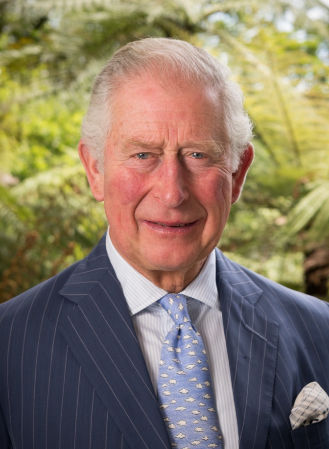 König Charles mit weißen, über die Halbglatze frisierten Haaren in einem blauen Anzug mit Krawatte.