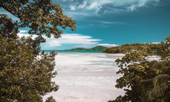 Ein Strand mit weißem Sand und türkisfarbenem Meer, im Vordergrund Büsche und Bäume