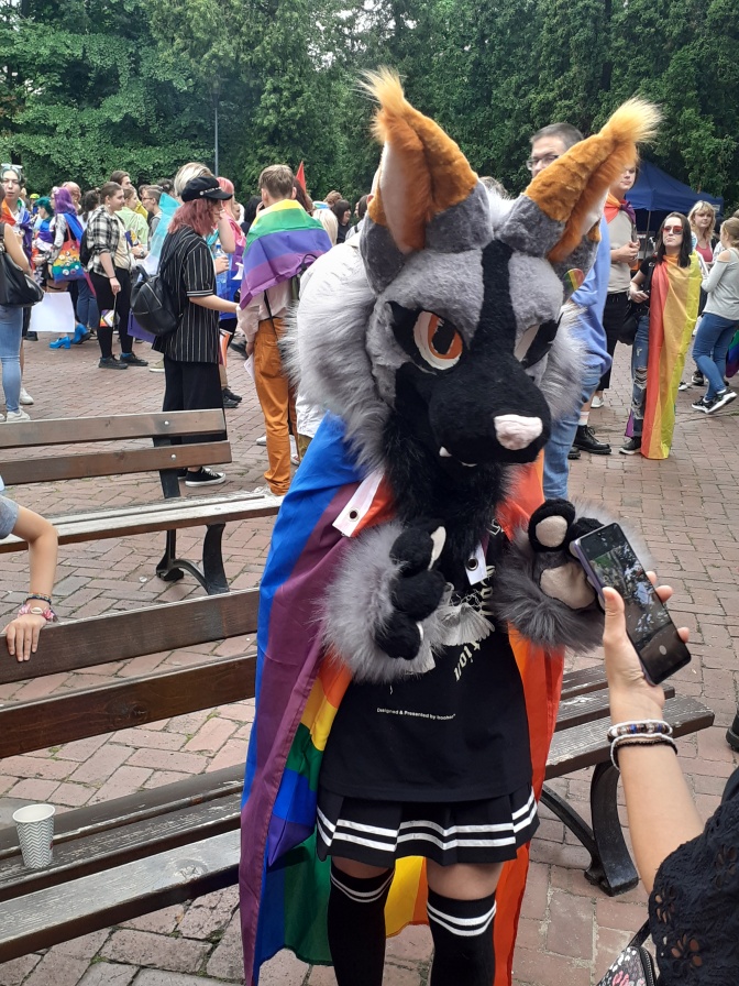 Ein Furry in einem wolfsähnlichen Kostüm mit Kleidung in Regenbogenfarben.