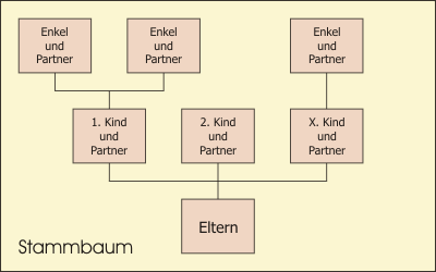 Ein Stammbaum, der die Kinder und Enkelkinder einer Person in schematischer Darstellung zeigt.