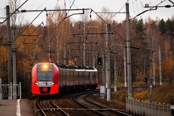 Eine rote Regionalbahn fährt eine Strecke an kahlen Bäume vorbei.