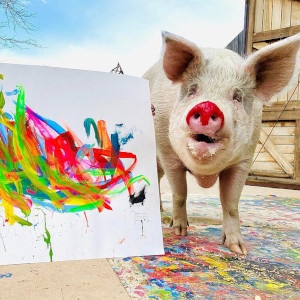 Pigcasso mit einem ihrer Bilder, am Rüssel pinkfarbene Farbreste
