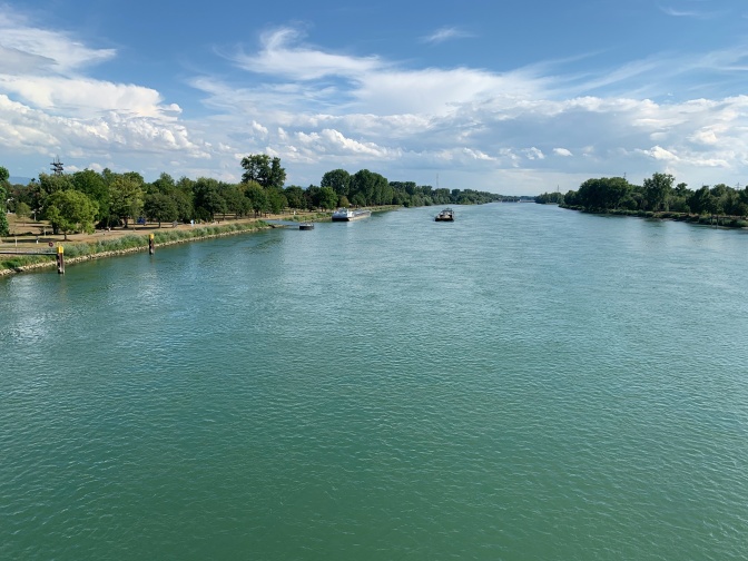 Mit Bäumen bestandenes Ufer am Rhein. Auf dem Rhein sind vereinzelt Schiffe zu sehen.