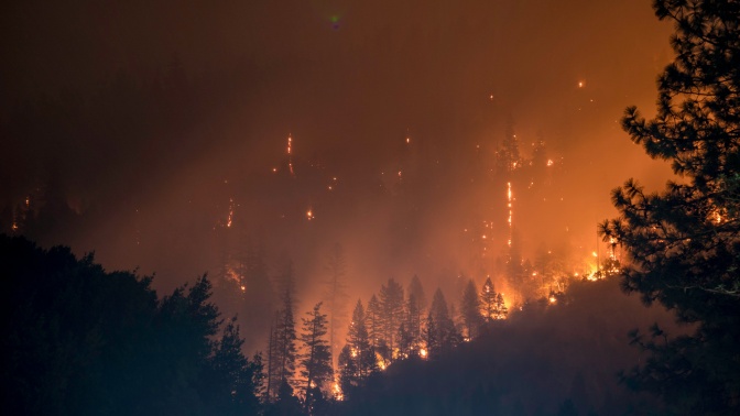 Ein Waldbrand, im Vordergrund die Silhouetten brennender Bäume.